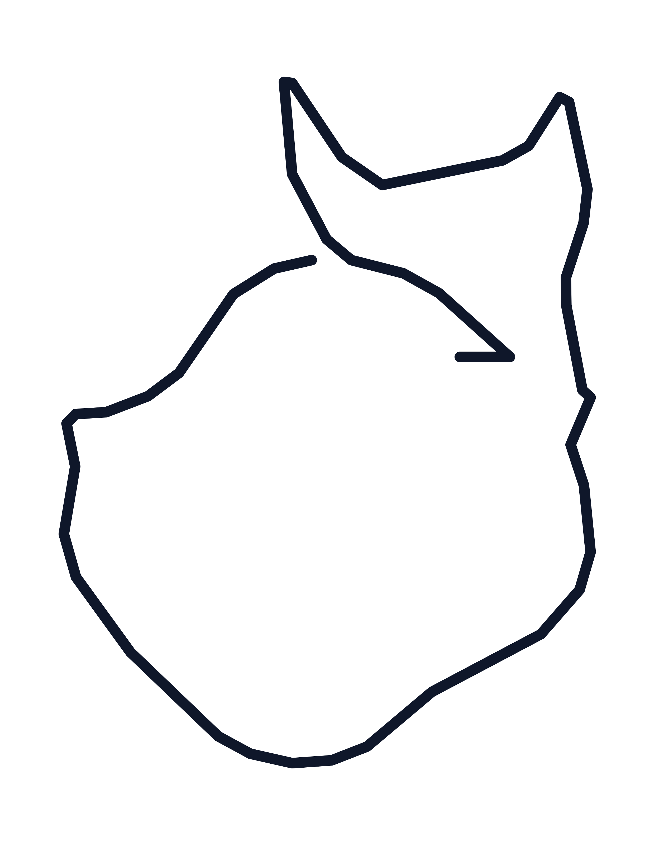 2027 JP Morgan Chase Corporate Challenge... | MeteoPace